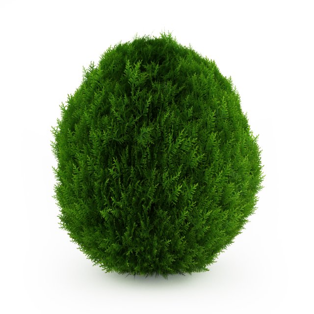 cgaxis eastern arborvitae 2 3D मॉडल .c4d .max .obj .3ds .fbx .stl .blend 