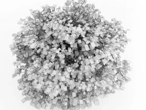 cgaxis common hazel 3D Model