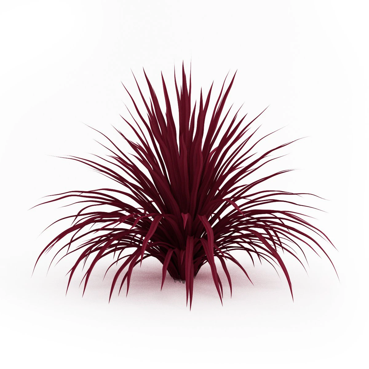 cgaxis cabbage tree 3D Model .c4d .max .obj .3ds .fbx .stl .blend 