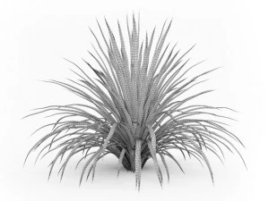 cgaxis cabbage tree 3D Model