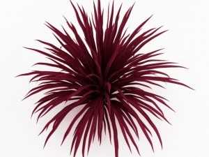 cgaxis cabbage tree 3D Model