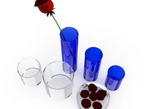 rose and vases set 3D Model