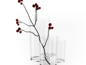 flower in vases Modelo 3D