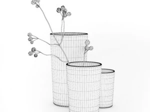 flower in vases 3D Model