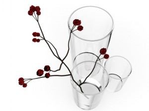 flower in vases 3D 模型
