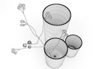 flower in vases 3D 模型