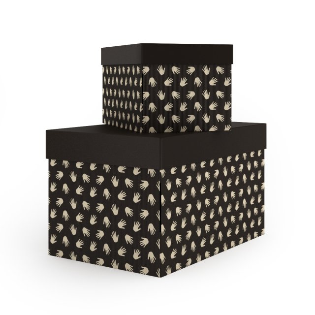 boxes with cover 3D Model .c4d .max .obj .3ds .fbx .stl .blend 
