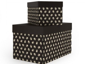 boxes with cover 3D-Modell