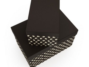 boxes with cover 3D Model