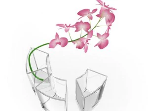 flower and vases 3D Model