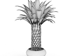 bamboo plant 3D Model