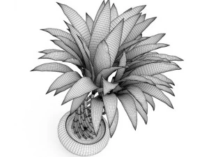 bamboo plant 3D Model