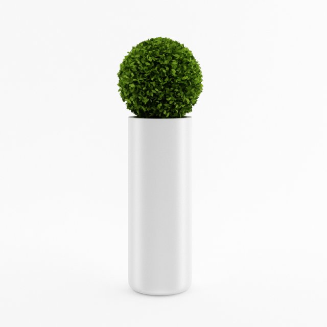 spherical house plant Model 3D .c4d .max .obj .3ds .fbx .stl .blend 
