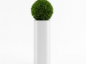 spherical house plant 3D 모델