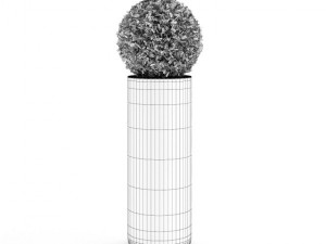 spherical house plant Model 3D