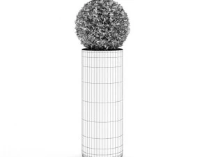 spherical house plant 3D Model