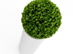 spherical house plant Model 3D