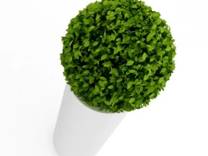 spherical house plant 3D Model