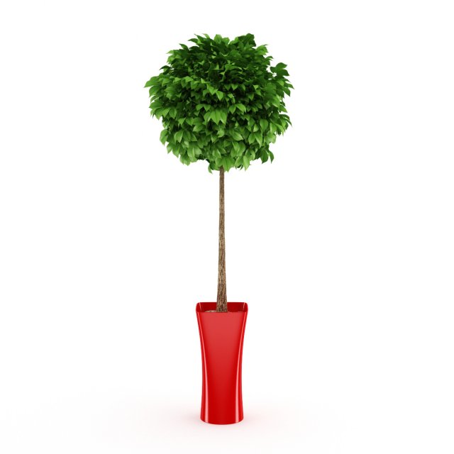 potted tree 3D Модель .c4d .max .obj .3ds .fbx .stl .blend 