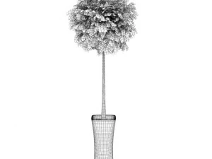 potted tree 3D Model