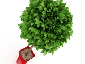 potted tree 3D Model