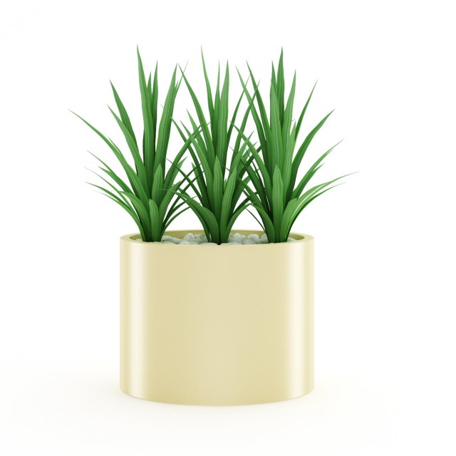 triple palm 3D Model .c4d .max .obj .3ds .fbx .stl .blend 