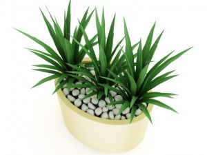 triple palm 3D Model