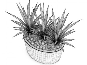 triple palm 3D Model