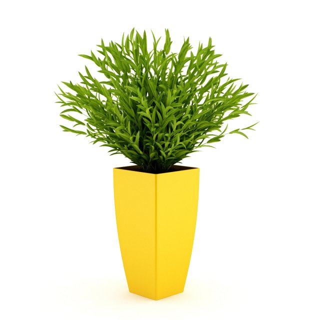 potted plant 3D Model .c4d .max .obj .3ds .fbx .stl .blend 