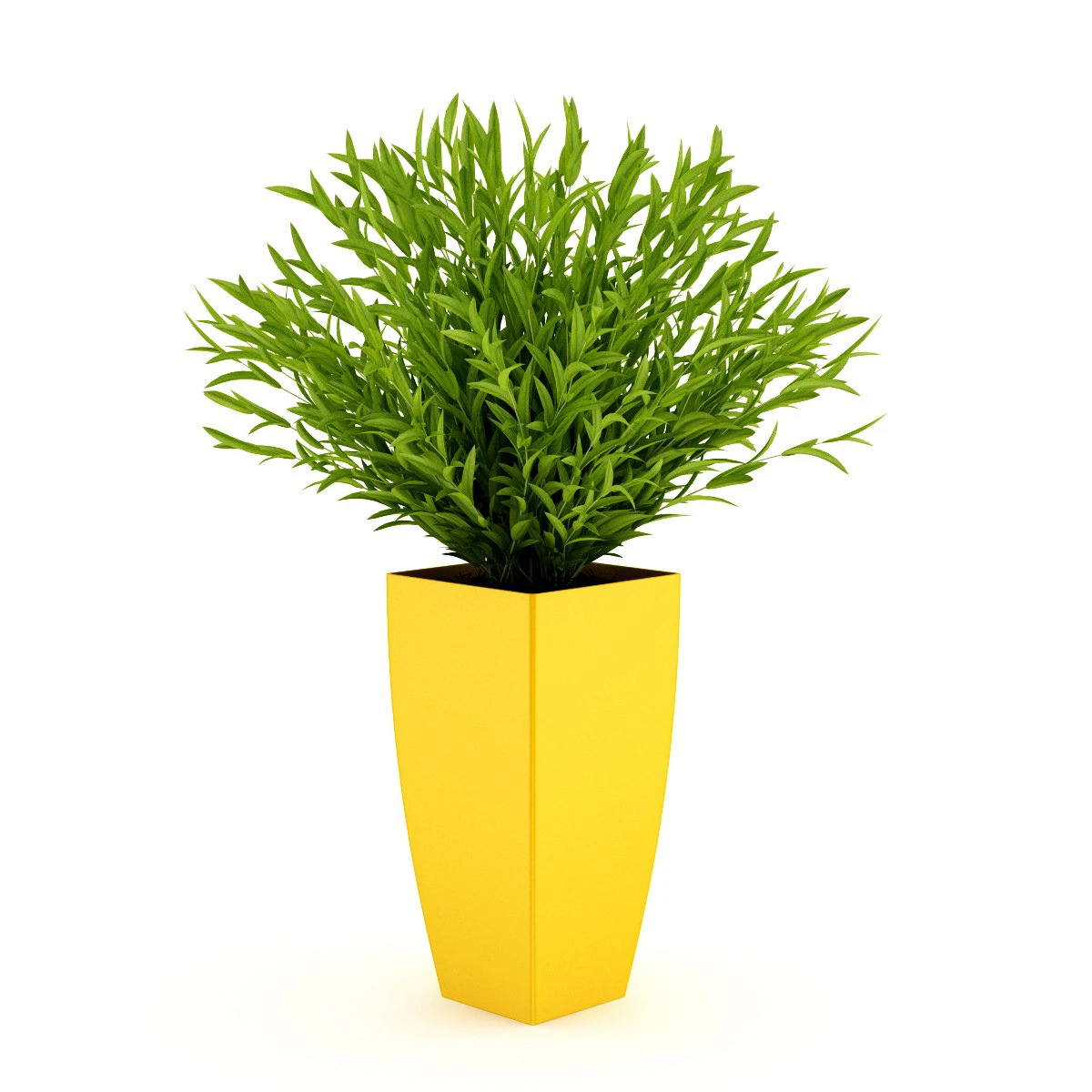 potted plant 3D Model .c4d .max .obj .3ds .fbx .stl .blend