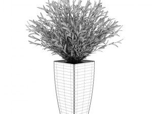 potted plant 3D Model