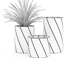 palma rossa Modello 3D