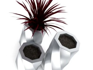 palma rossa Modello 3D