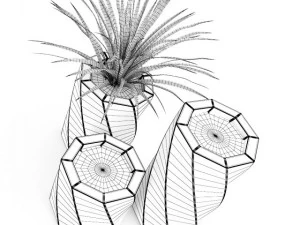 palma rossa Modello 3D