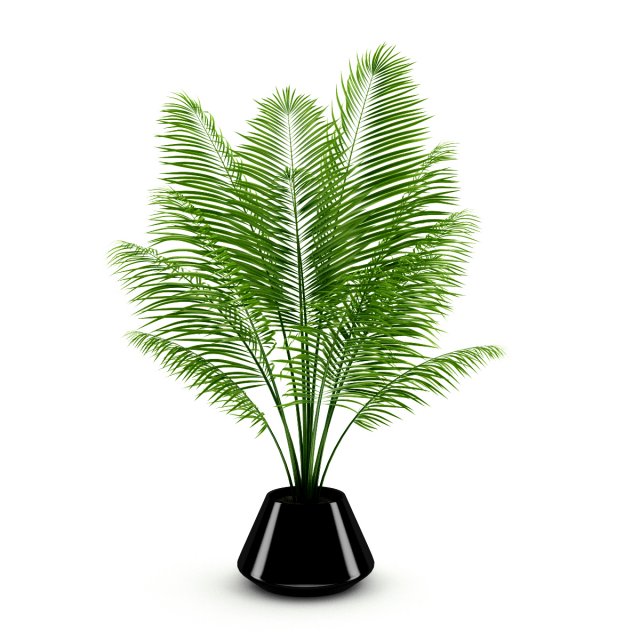 potted palm 3D Model .c4d .max .obj .3ds .fbx .stl .blend 