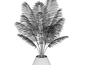 potted palm 3D Model