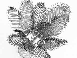 potted palm 3D Model