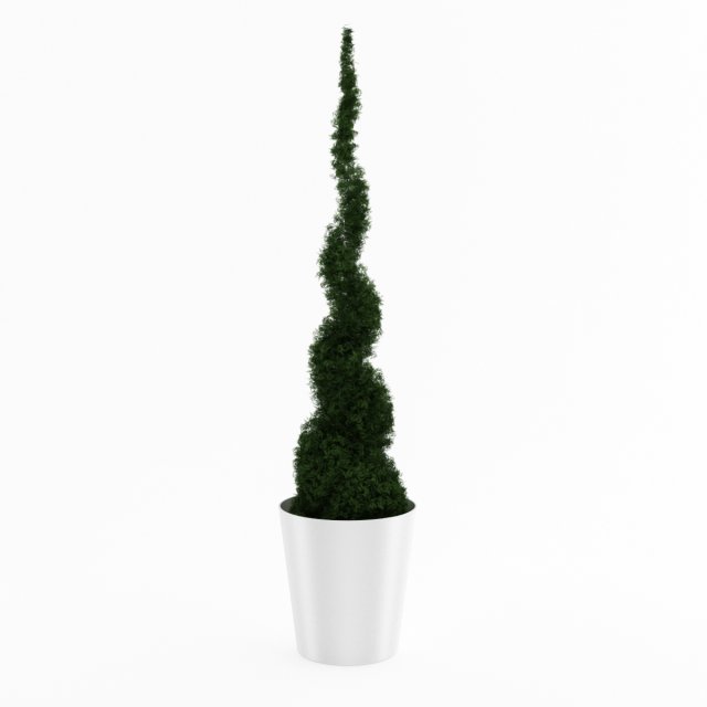potted thuja Model 3D .c4d .max .obj .3ds .fbx .stl .blend