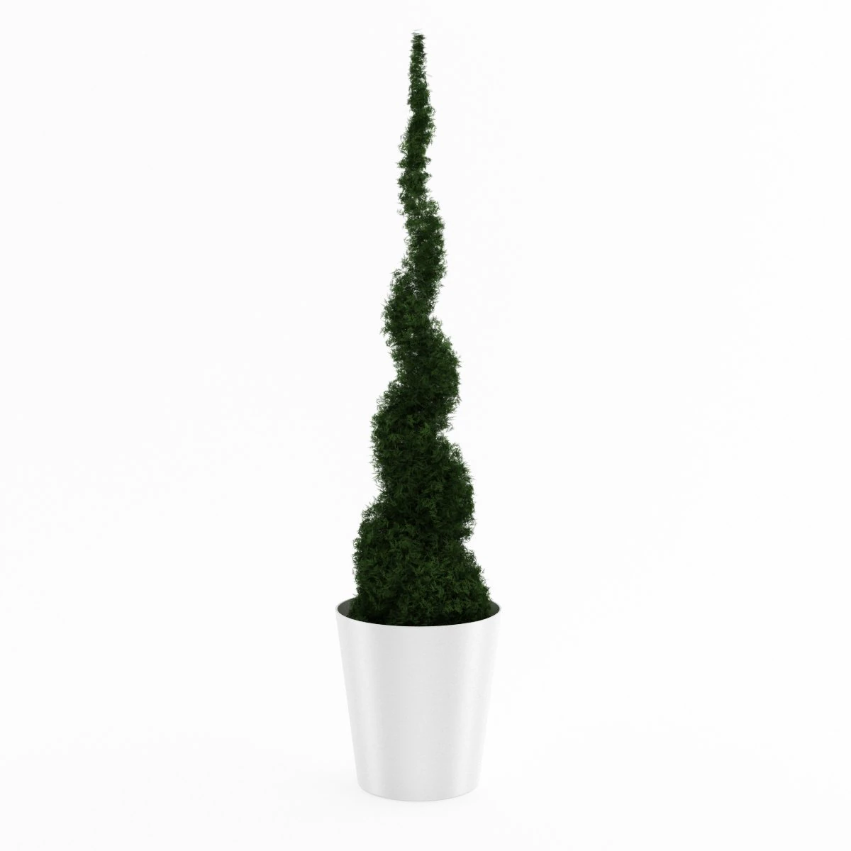 potted thuja 3D Model .c4d .max .obj .3ds .fbx .stl .blend 