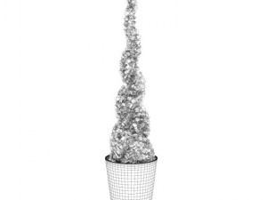 potted thuja Model 3D