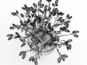 paprika plant 3D Model
