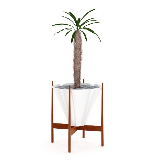 cactus plant 3D 模型 .c4d .max .obj .3ds .fbx .stl .blend