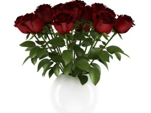 roses rouges Modèle 3D