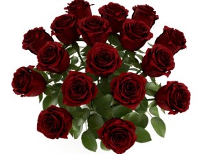 red roses 3D Model