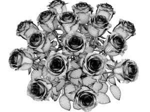 red roses 3D Model