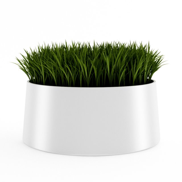 decorative grass Model 3D .c4d .max .obj .3ds .fbx .stl .blend 