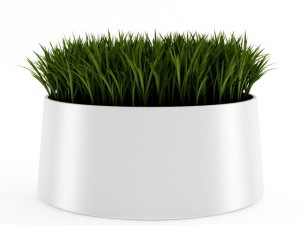 decorative grass 3D Модель