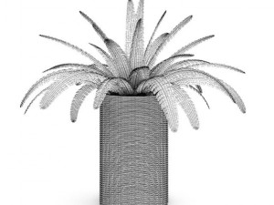 fern in wicker basket 3D Model