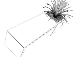 palm in benchpot 3D Model