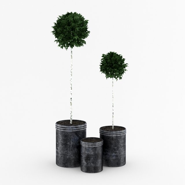 potted birchtrees Model 3D .c4d .max .obj .3ds .fbx .stl .blend 